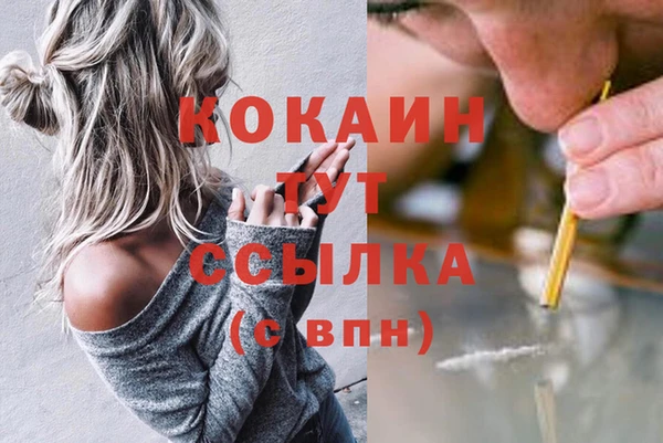 2c-b Михайлов