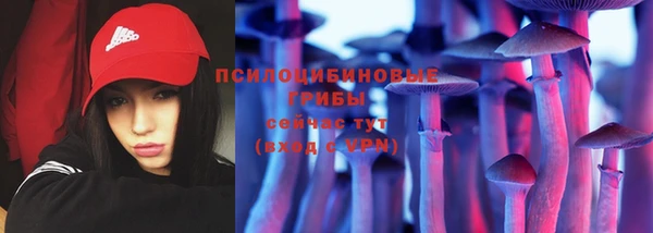 амф Михайловск