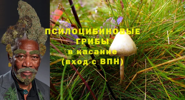 амф Михайловск
