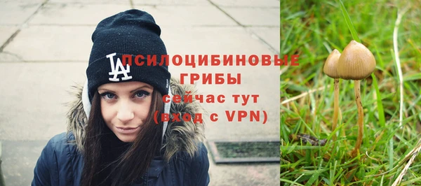 ГАЛЛЮЦИНОГЕННЫЕ ГРИБЫ Абинск