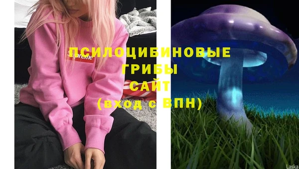 2c-b Михайлов