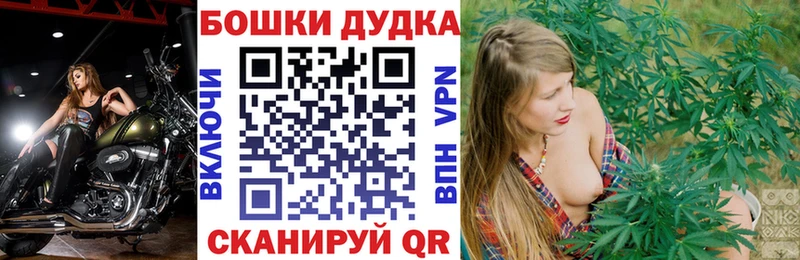 закладки  Лабытнанги  Бошки Шишки Bruce Banner 